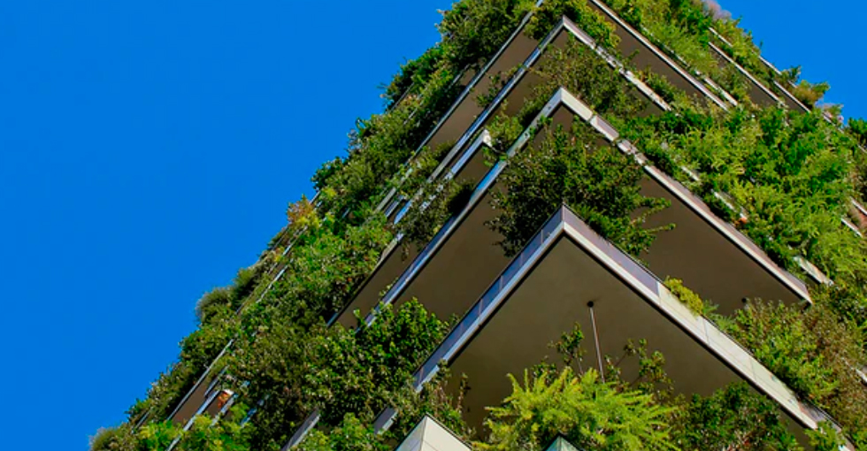 Sostenibilidad En El Mercado Inmobiliario